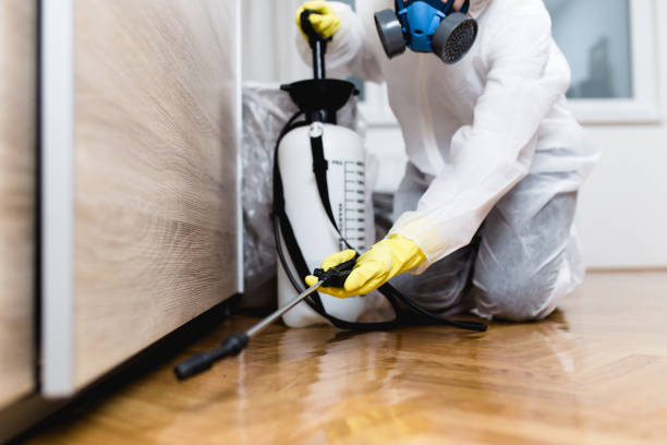 Best Flea Control Services  in Ione, CA