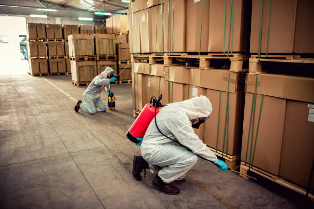 Best Mosquito Control Services  in Ione, CA
