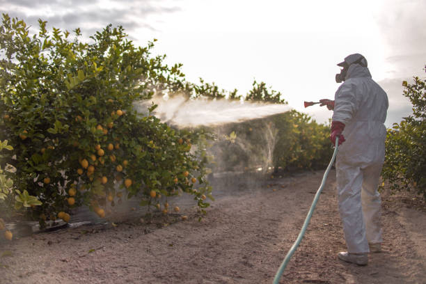 Best Pest Inspection Near Me  in Ione, CA
