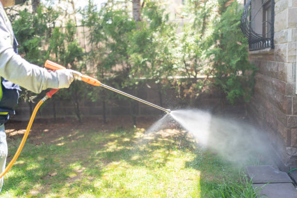 Best Best Pest Control Companies  in Ione, CA