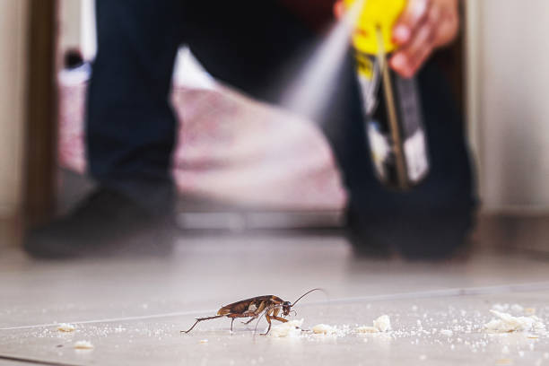 Best Pest Prevention Services  in Ione, CA