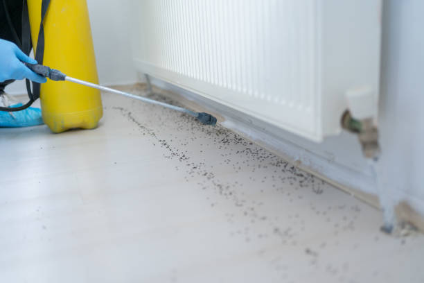 Best Cockroach Control Services  in Ione, CA